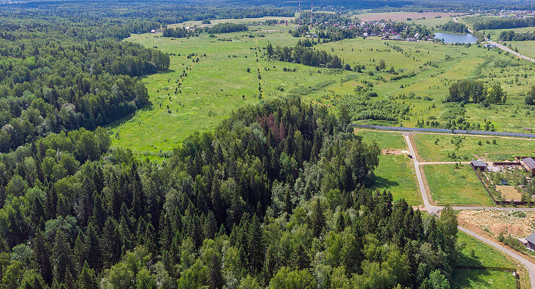 Домик в лесу