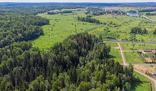 Домик в лесу