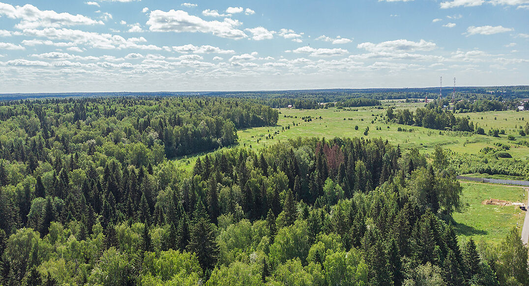 Домик в лесу