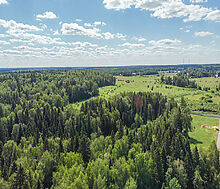 Домик в лесу