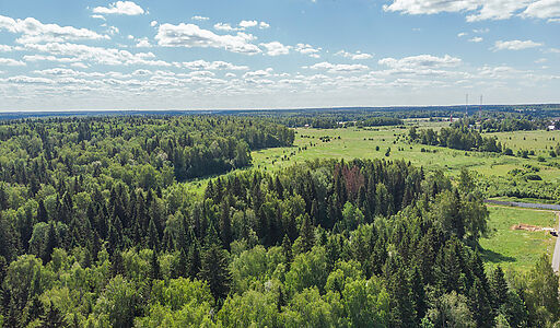 Домик в лесу