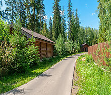 Домик в лесу