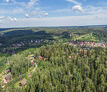 Домик в лесу