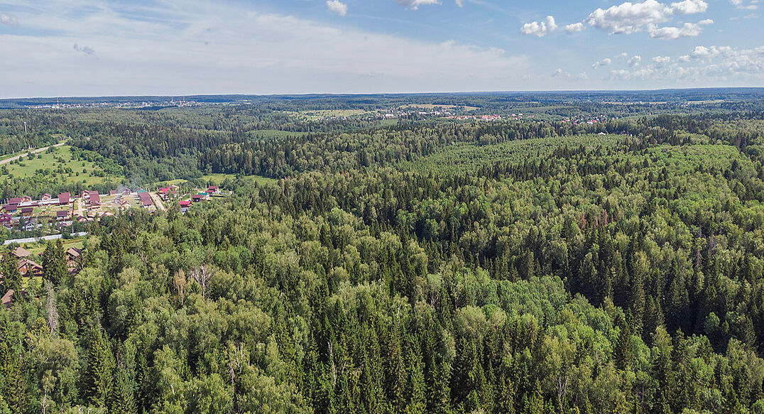 Домик в лесу