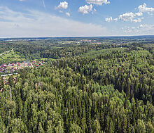 Домик в лесу