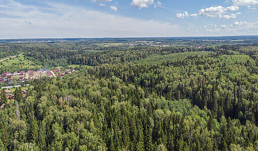 Домик в лесу