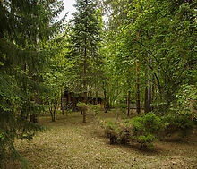 Дом у воды в КП Новое время