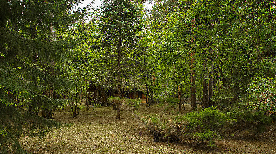 Дом у воды в КП Новое время
