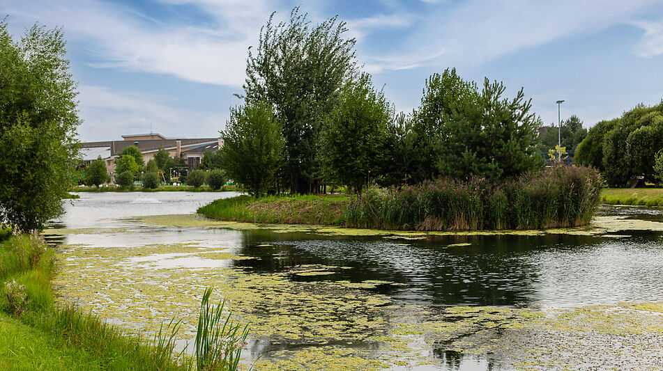Готовый дом в Резиденции Бенилюкс