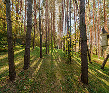 Участок у воды в Лобаново