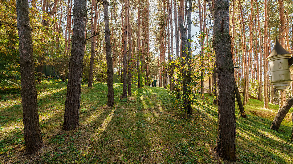 Участок у воды в Лобаново