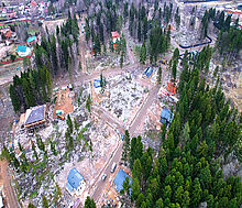 Участок с соснами в Сходне