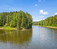 Готовый дом в КП Сосновый берег