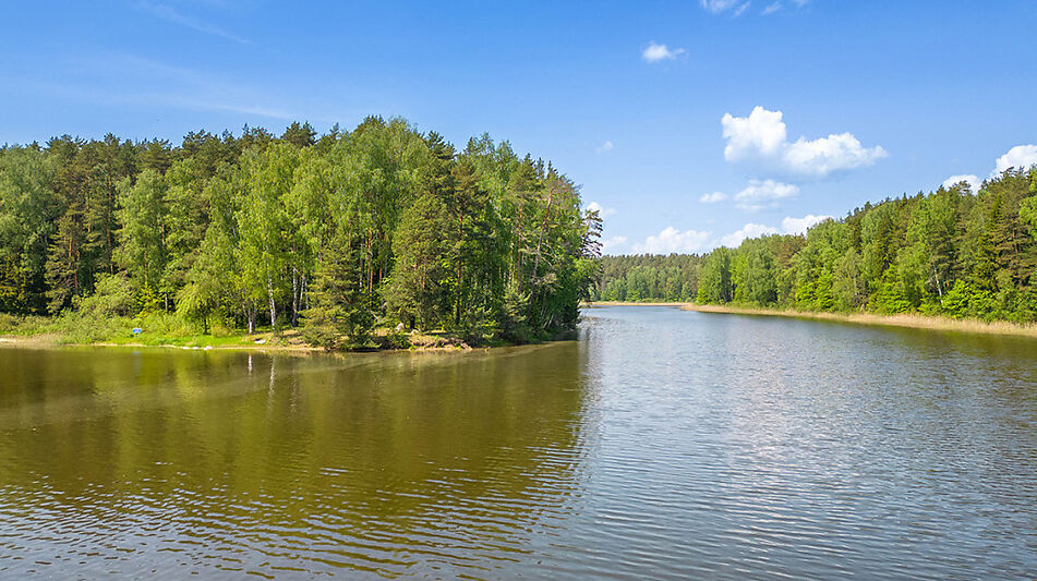 Готовый дом в КП Сосновый берег