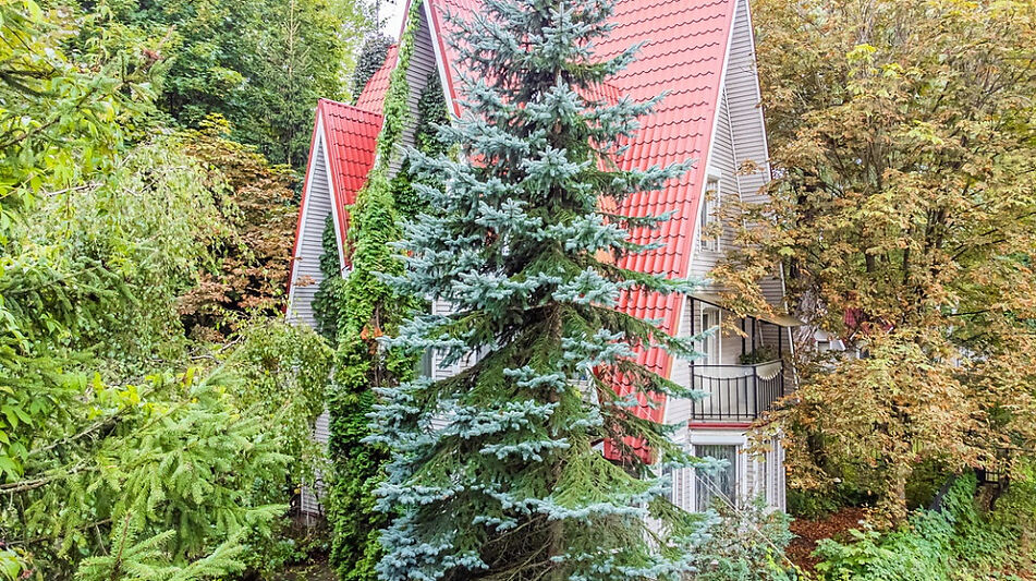 Дом в КП Нагорье-12