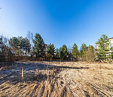 Дом в Новахово со своими соснами