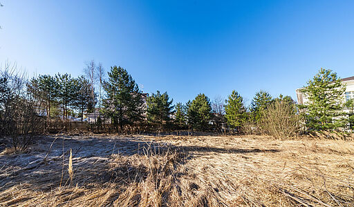 Дом в Новахово со своими соснами