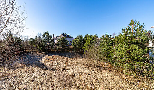 Дом в Новахово со своими соснами