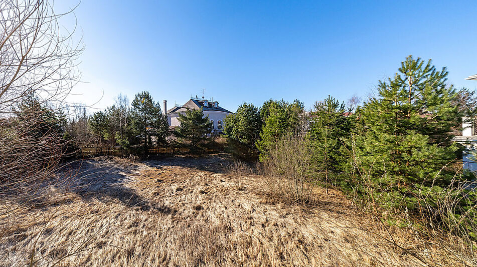 Дом в Новахово со своими соснами