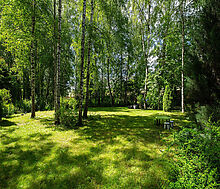 Дом в КП Северная Пальмира