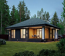 Одноэтажный дом у леса в Сходне