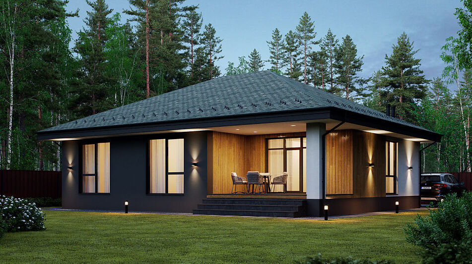 Одноэтажный дом у леса в Сходне