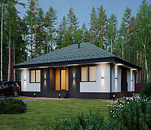 Одноэтажный дом у леса в Сходне