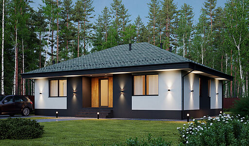 Одноэтажный дом у леса в Сходне