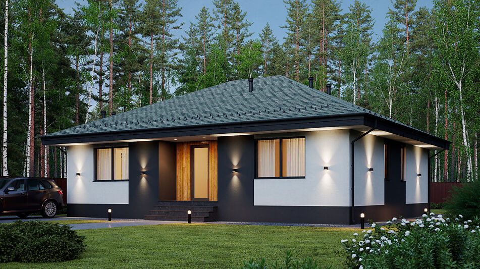 Одноэтажный дом у леса в Сходне