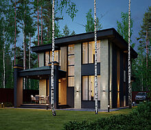 Дом у леса в Сходне