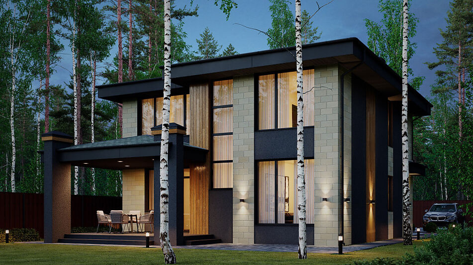 Дом у леса в Сходне