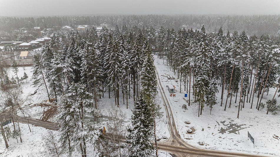 Дом у леса в Сходне