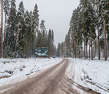 Дом у леса в Сходне