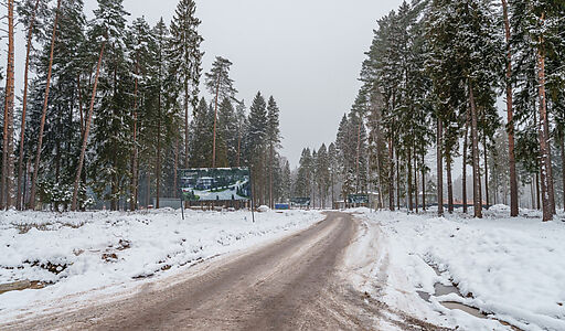 Дом у леса в Сходне