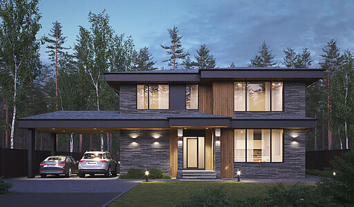 Дом у леса в Сходне