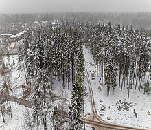 Дом у леса в Сходня Кантри Клаб