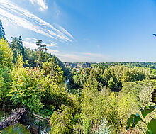 Квартира в Зеленых Холмах