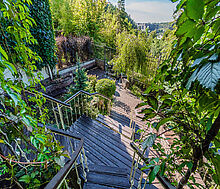 Квартира в Зеленых Холмах