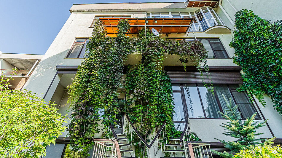 Квартира в Зеленых Холмах