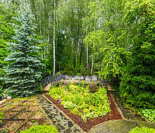 Прилесной дом в Вешках