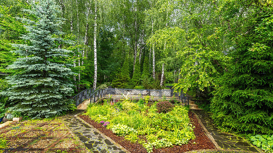 Прилесной дом в Вешках