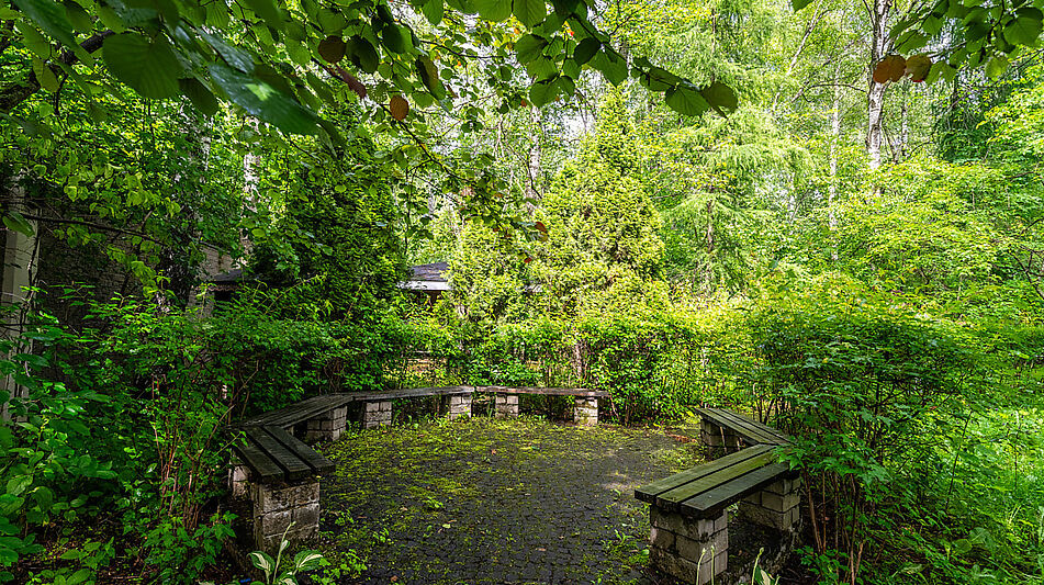 Прилесной дом в Вешках