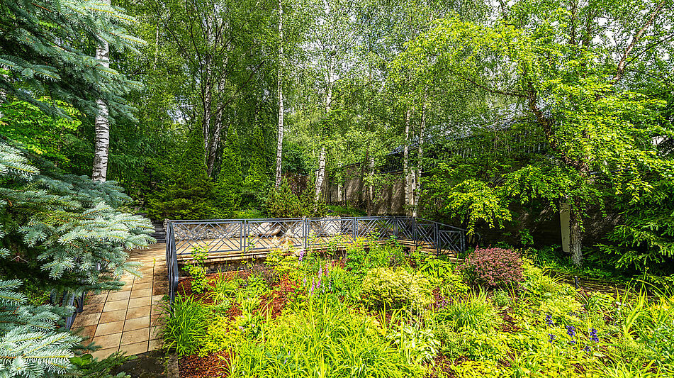 Прилесной дом в Вешках