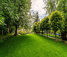 Прилесной дом в Вешках