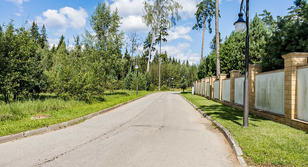 Лесные Зори