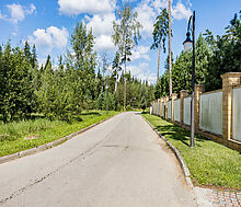 Лесные Зори