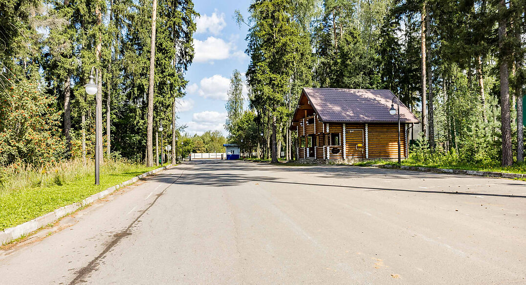 Лесные Зори