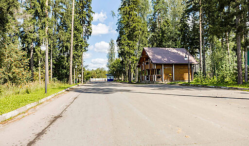 Лесные Зори