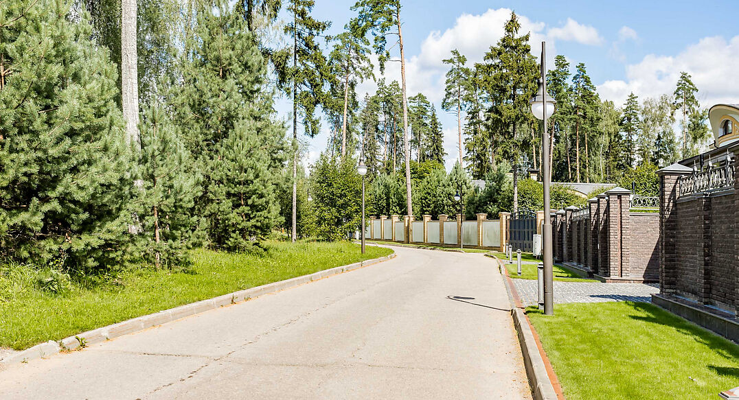 Лесные Зори