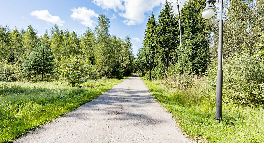 Лесные Зори